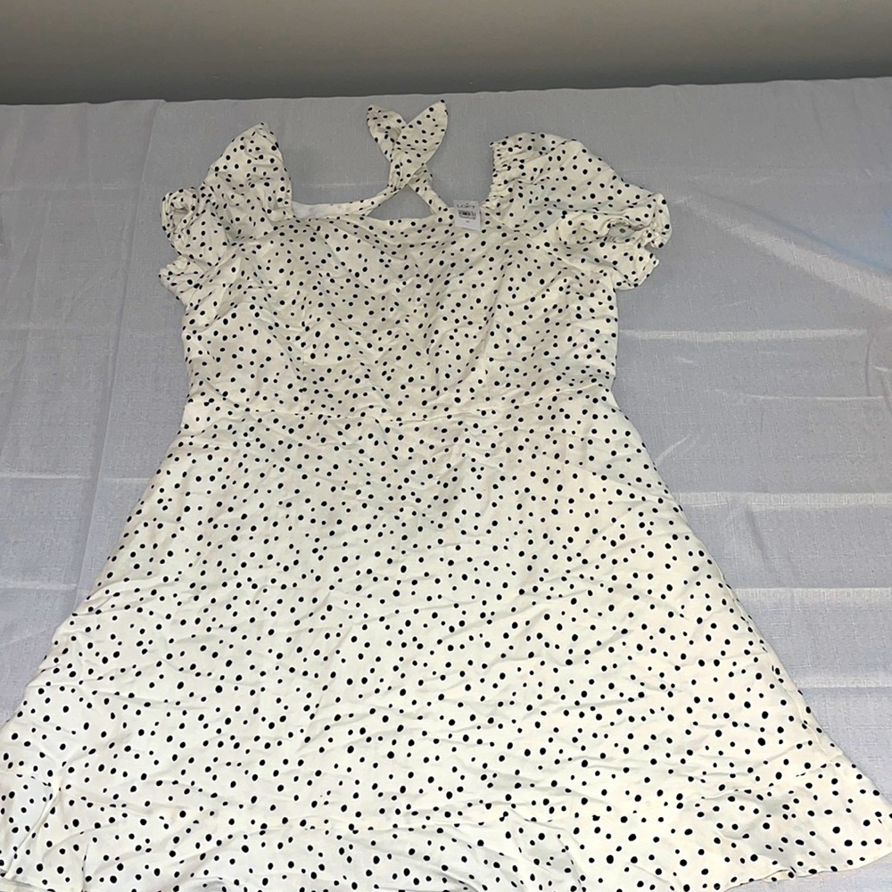 NWT Loft Dress Size 14